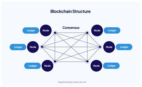 AI in Blockchain: Bridging the Gap Between Developers and Users
